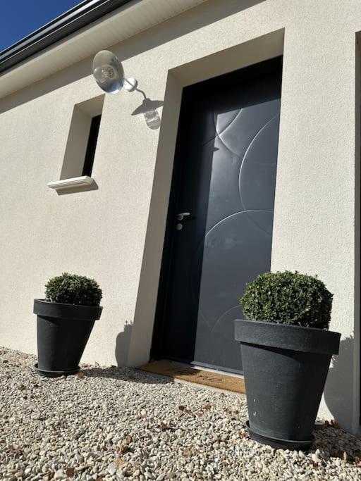 * Domaine De La Solaie * - Proche Bords De Loire Villa Saint-Denis-de lʼHôtel Bagian luar foto